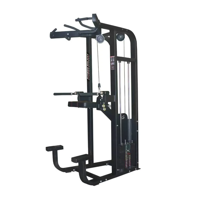 WEIGHT CHIN UP