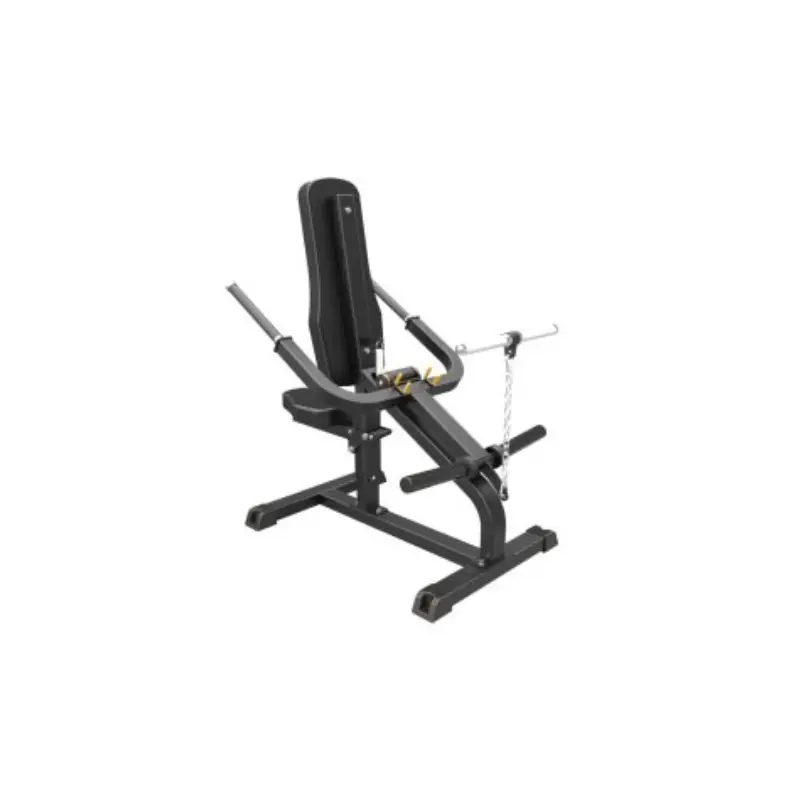 TRICEPS DIPS F/W