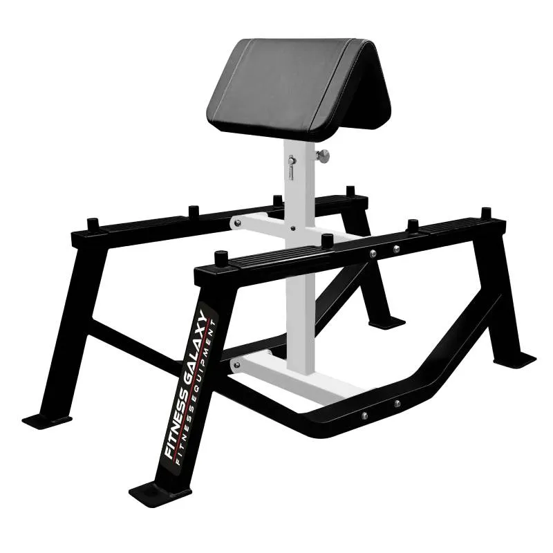 PREACHER CURL STAND